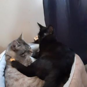 Meet your Posher, Jayme